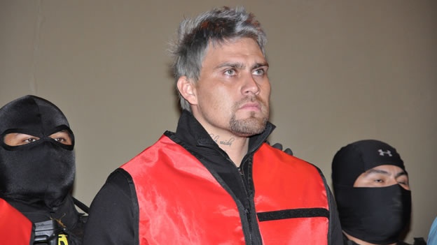 el-gato-secuestrador