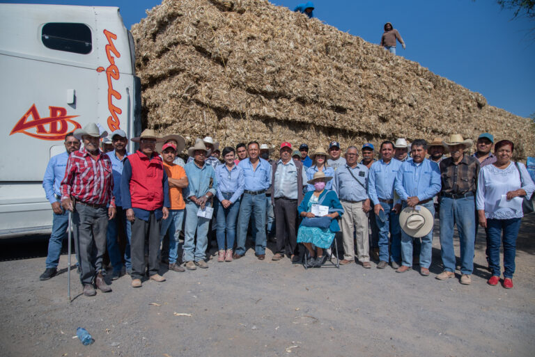 Municipio de El Marqués entrega forraje a productores para mitigar estiaje