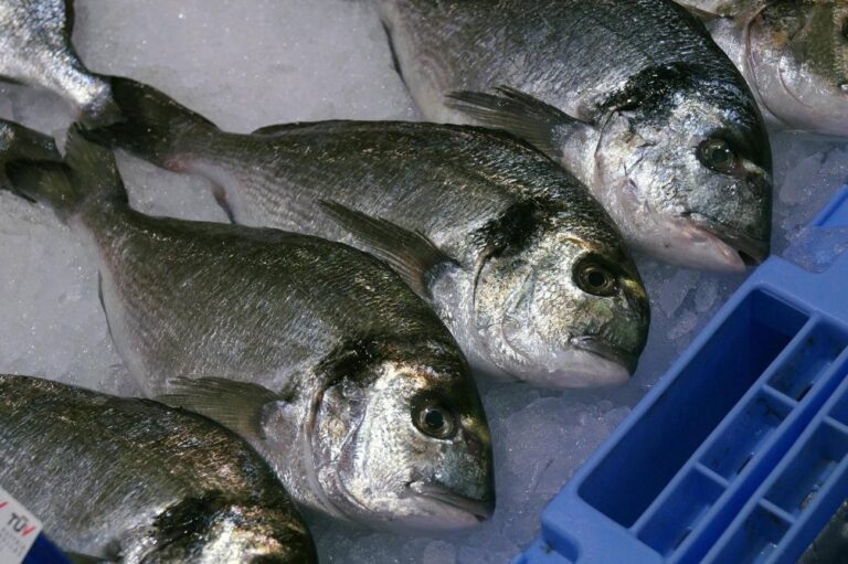 Mujer sufre amputación de todas sus extremidades tras consumir pescado en mal estado