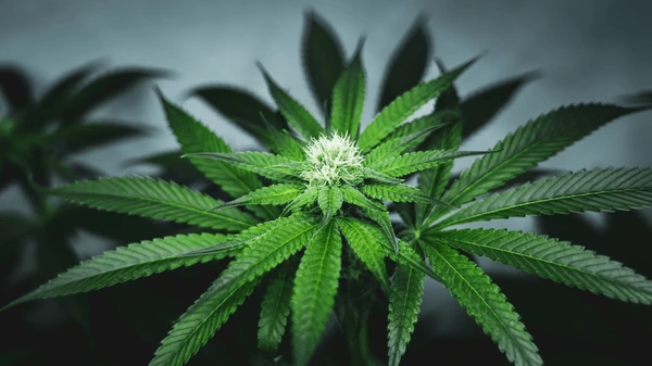 0b0e5fbc-869a-4216-b18c-f09f751dc7e1