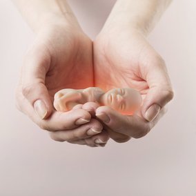 64243619-4985-4226-a12c-a54477b03ee9