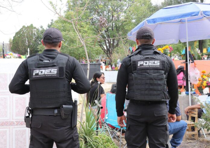 WhatsApp Image 2025-10-28 at 12.25.09 PM