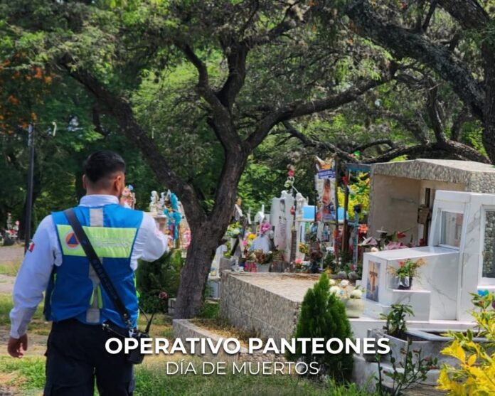 WhatsApp Image 2025-10-29 at 12.42.24 PM