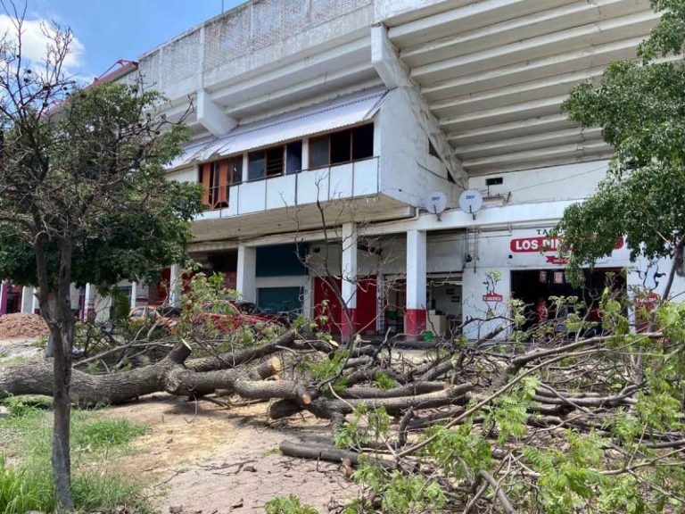 Tormenta en Irapuato deja daños materiales