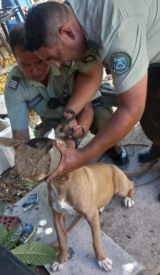 Carabineros salvan a un perrito que se encontraba en peligro por un bote de metal; Chile