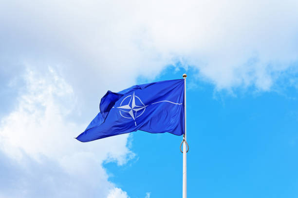 Ucrania aumenta presión para integrarse a la OTAN
