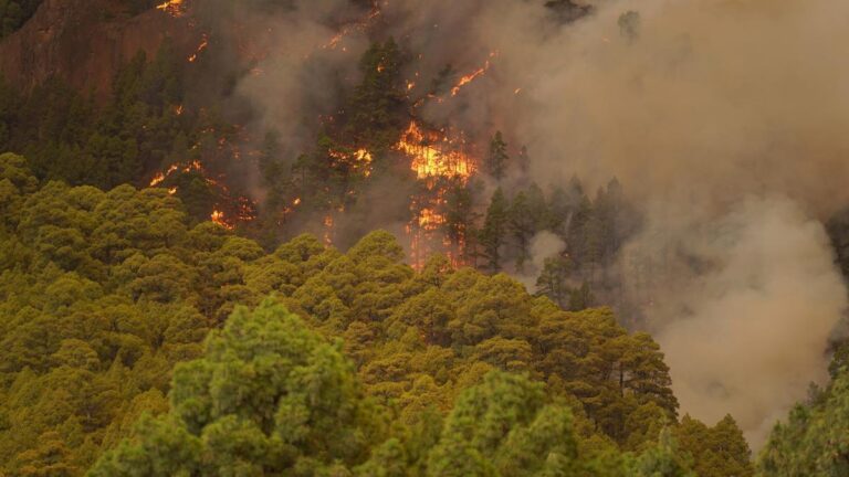 UE apoyará a Grecia con $2.000 millones para recuperarse de incendios e inundaciones